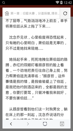 爱游戏网站赞助意甲